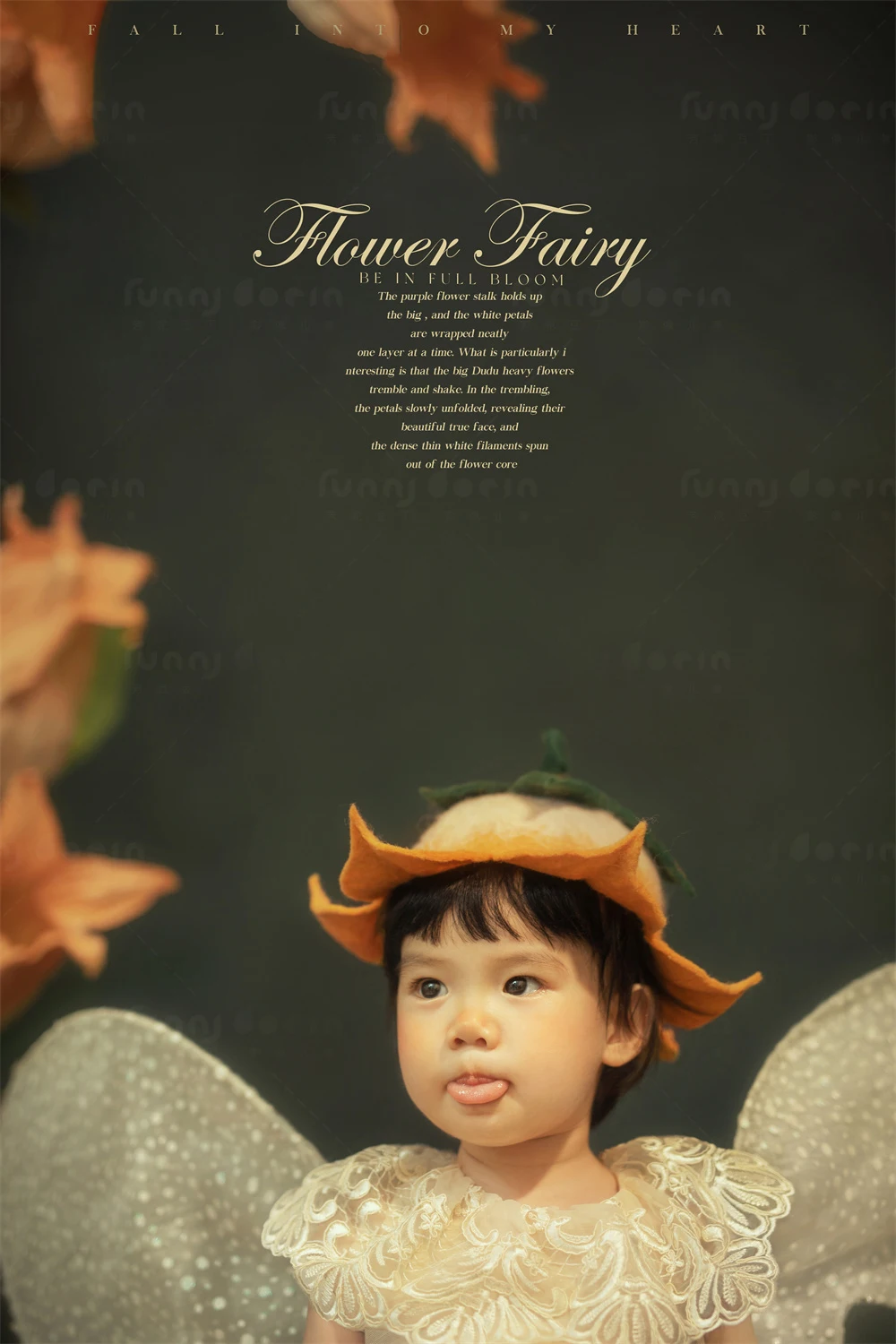 全家福 芳妮豆丁