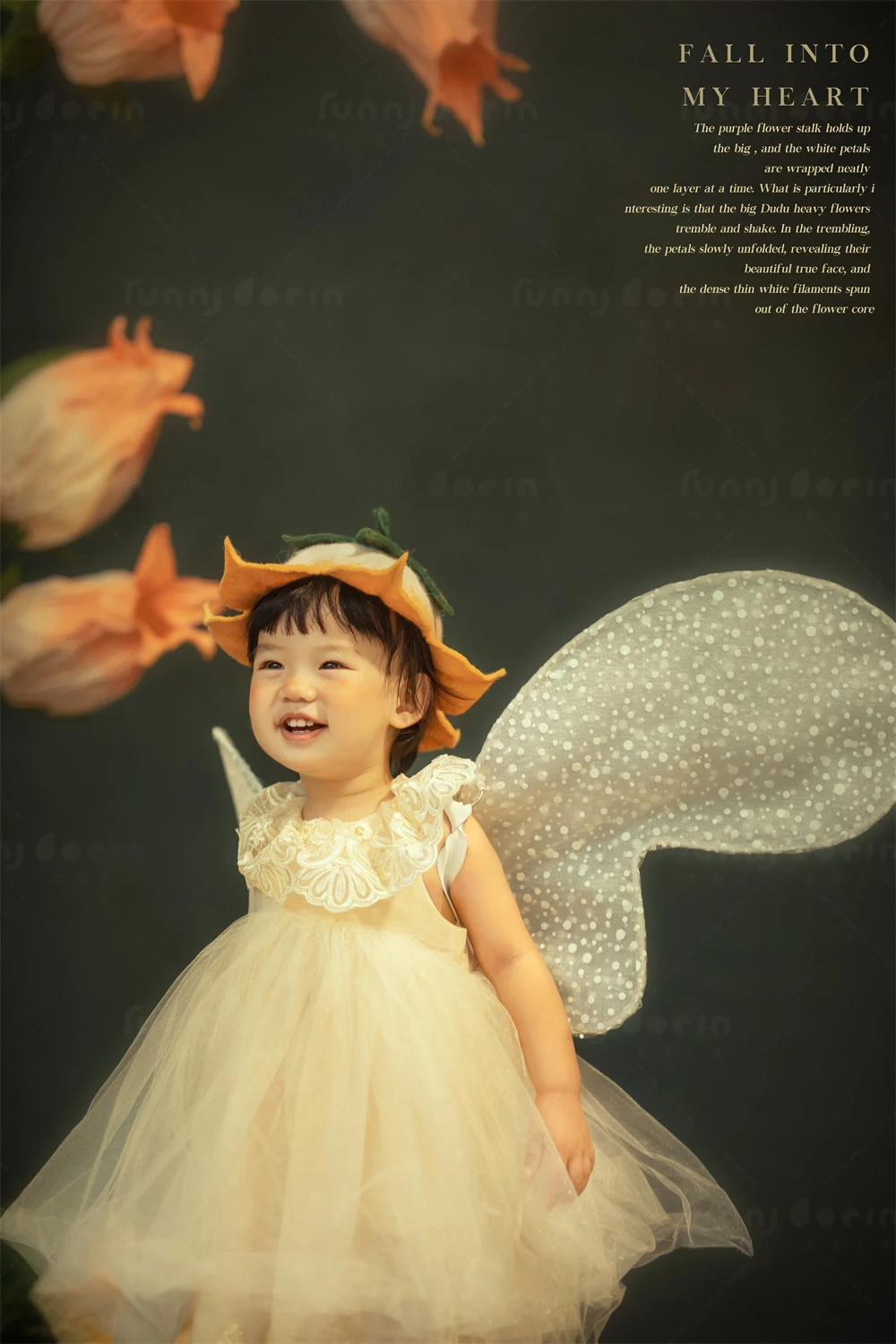 全家福 芳妮豆丁