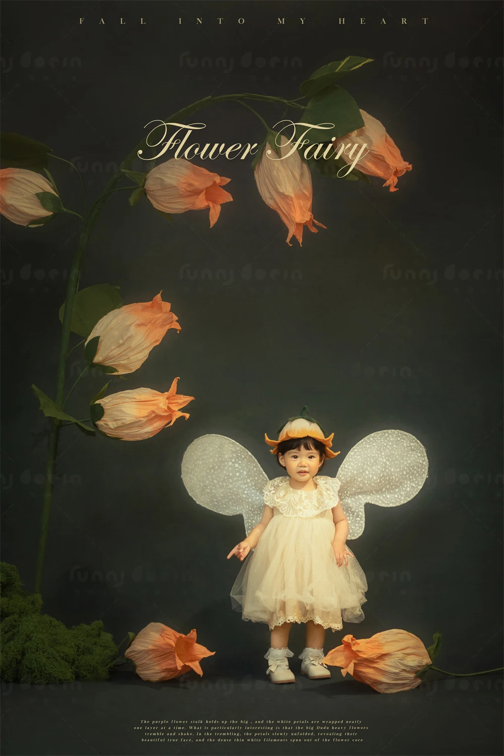 全家福 芳妮豆丁