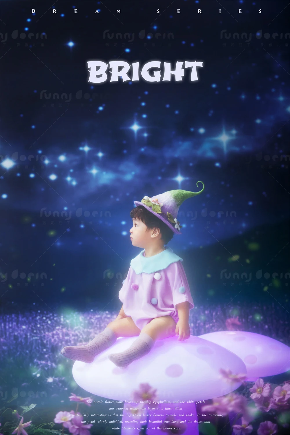 芳妮豆丁儿童摄影 &ldquo;蘑&rdquo;法森林