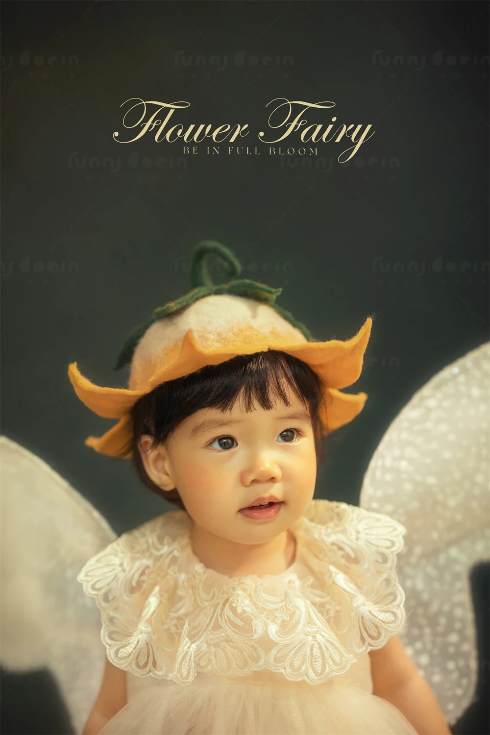 全家福 芳妮豆丁