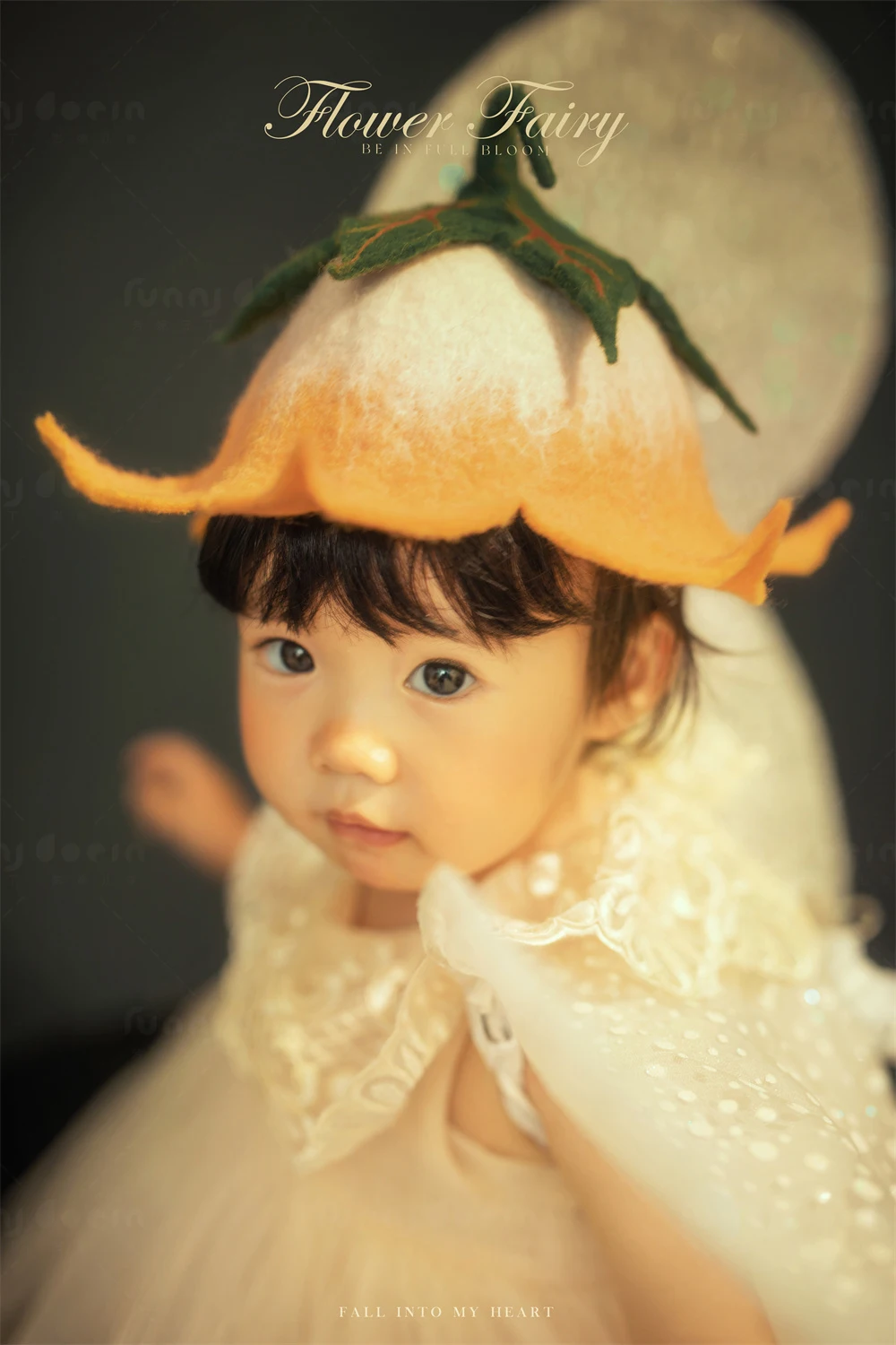 全家福 芳妮豆丁