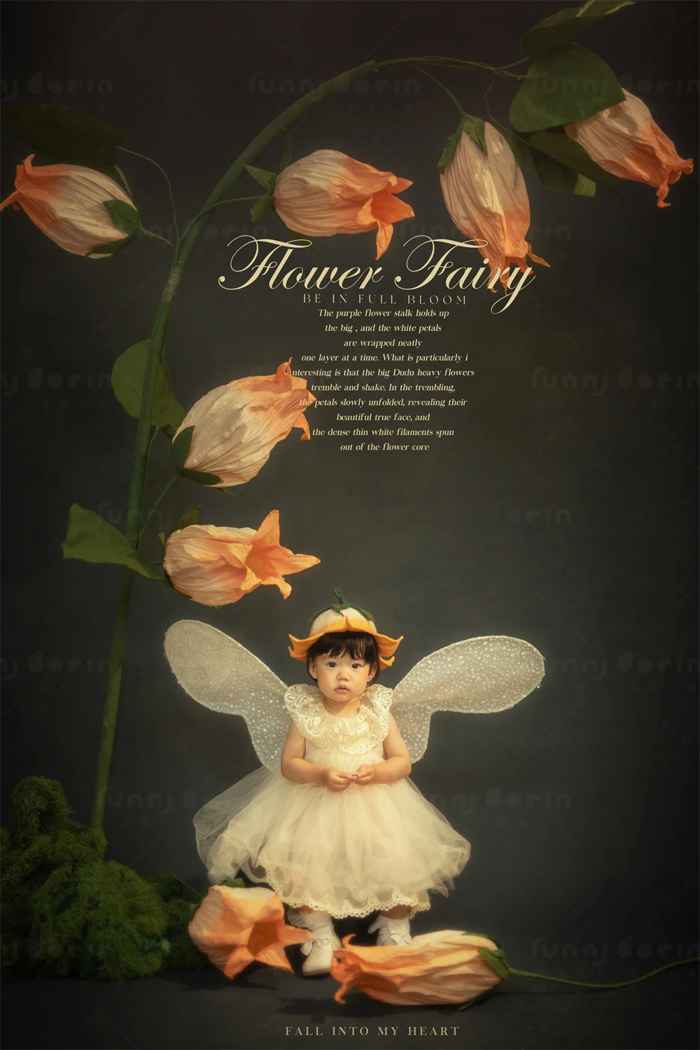 全家福 芳妮豆丁