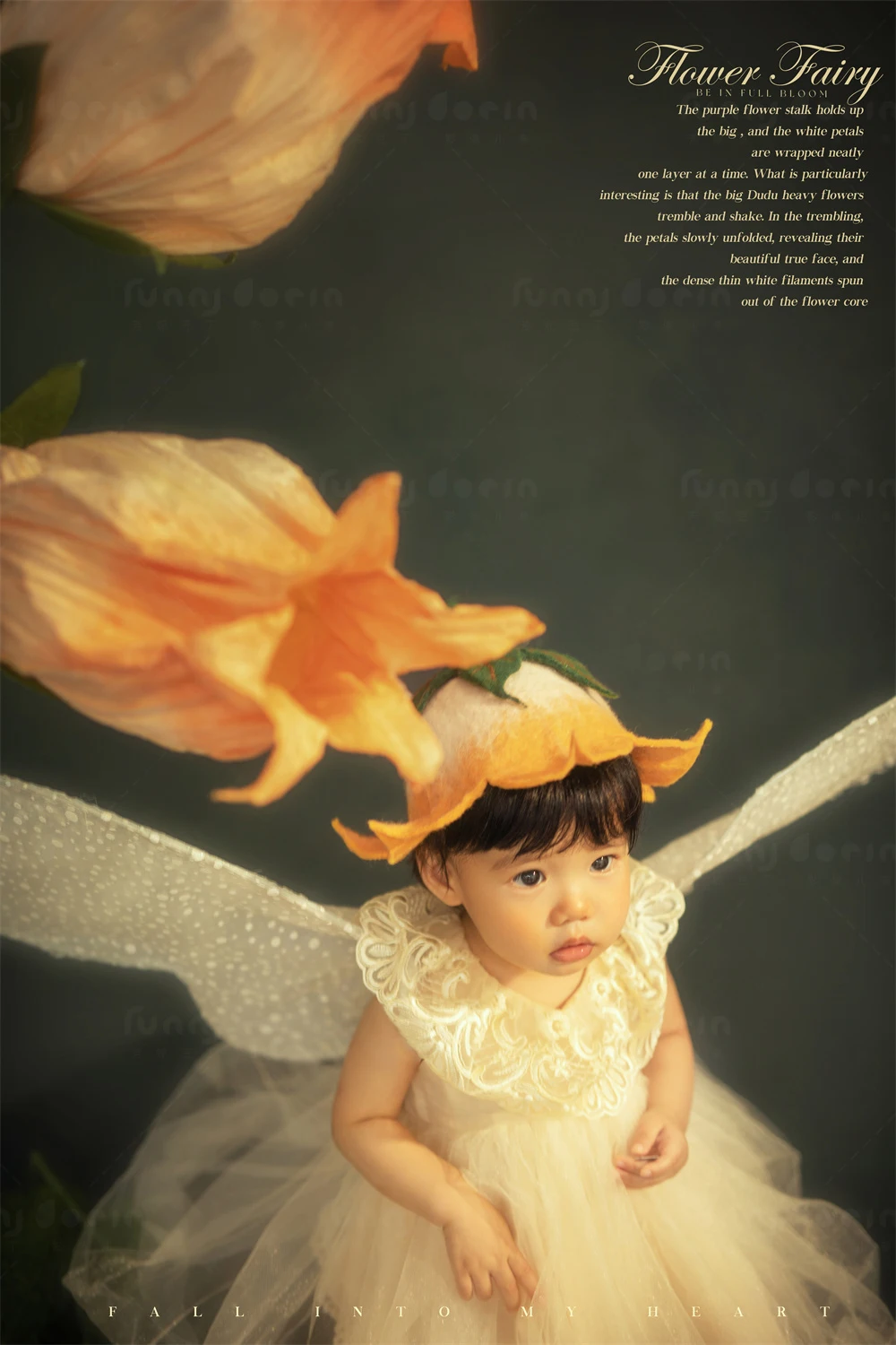 全家福 芳妮豆丁