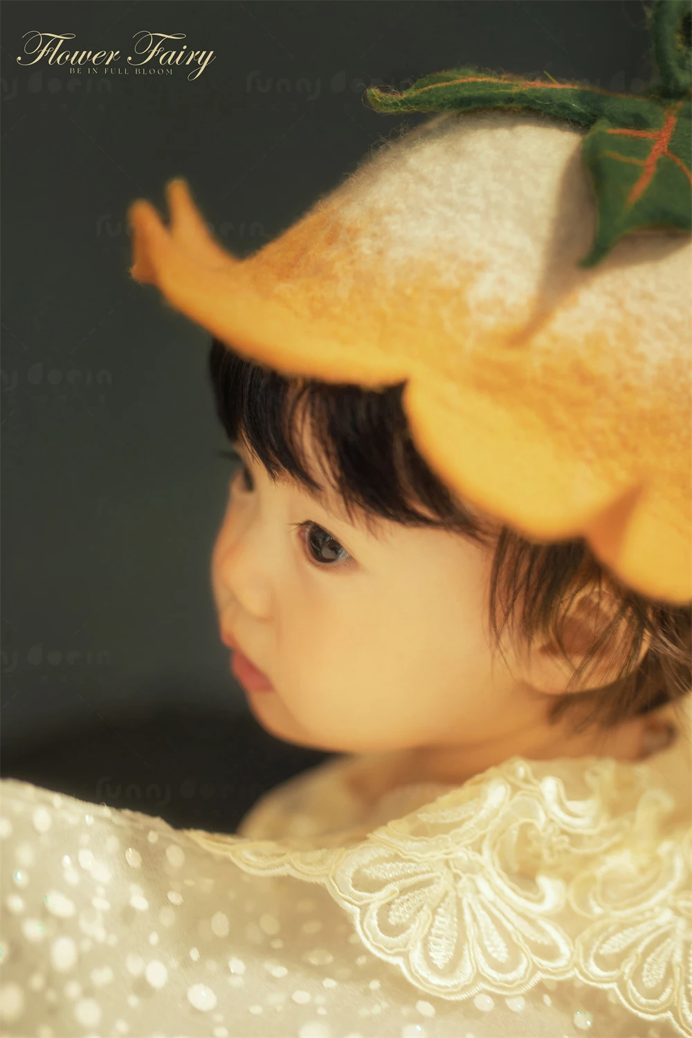 全家福 芳妮豆丁