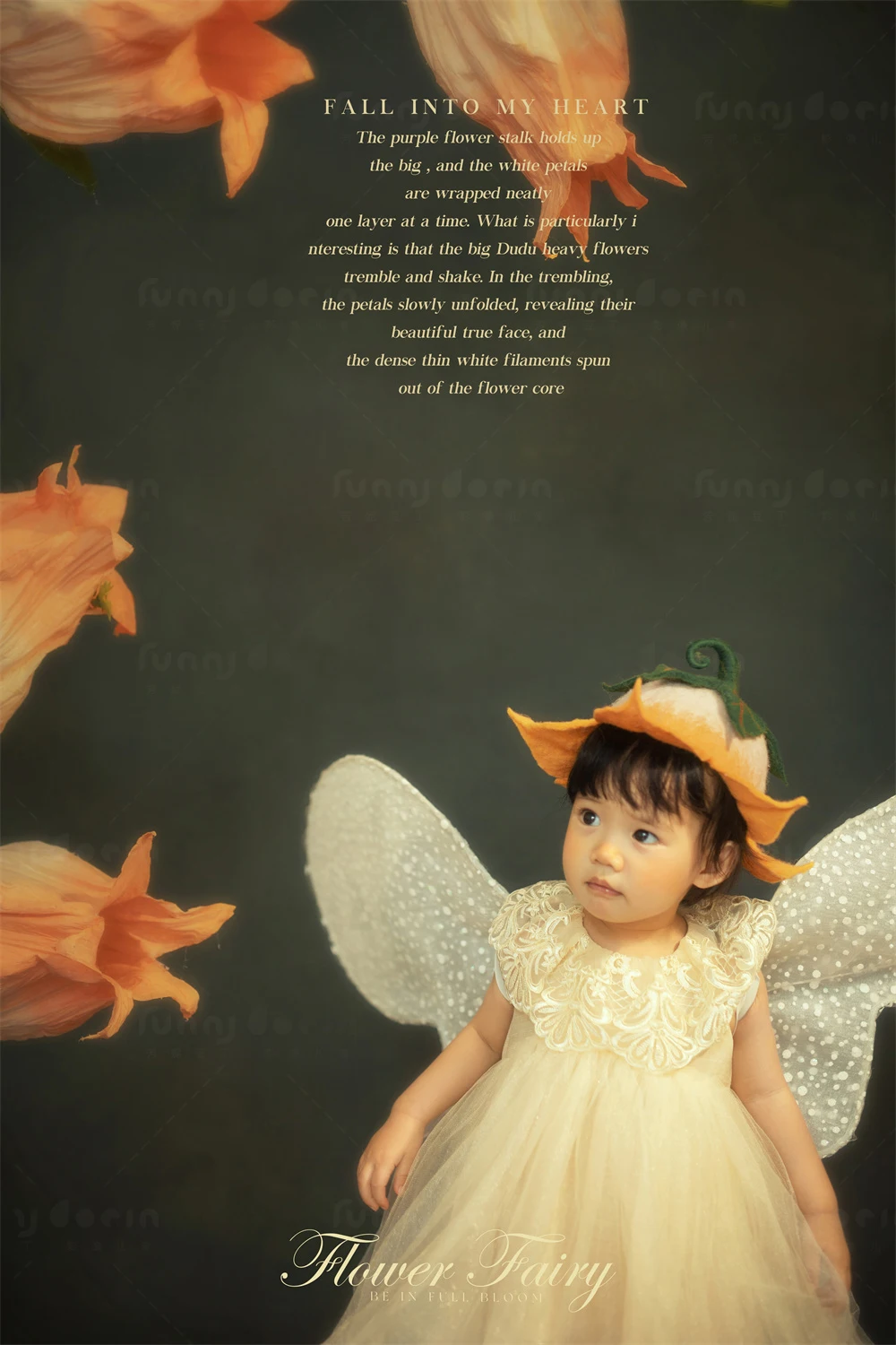 全家福 芳妮豆丁