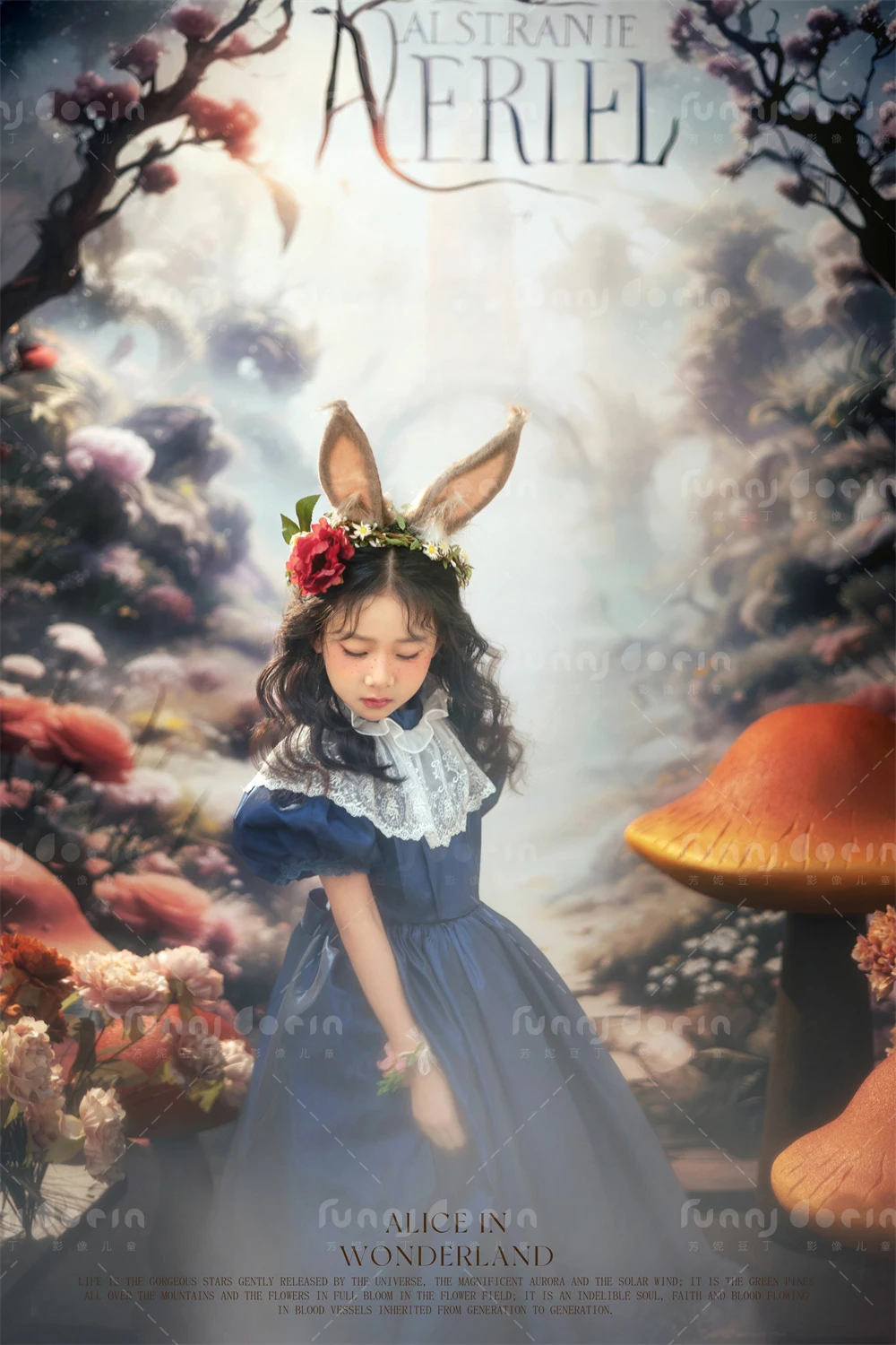 芳妮豆丁儿童摄影 爱丽丝仙境