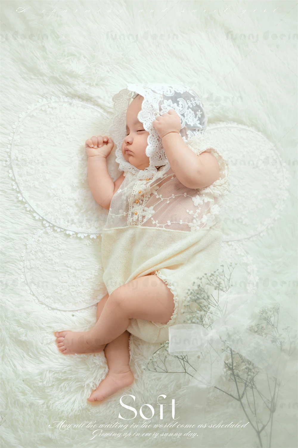 全家福 芳妮豆丁