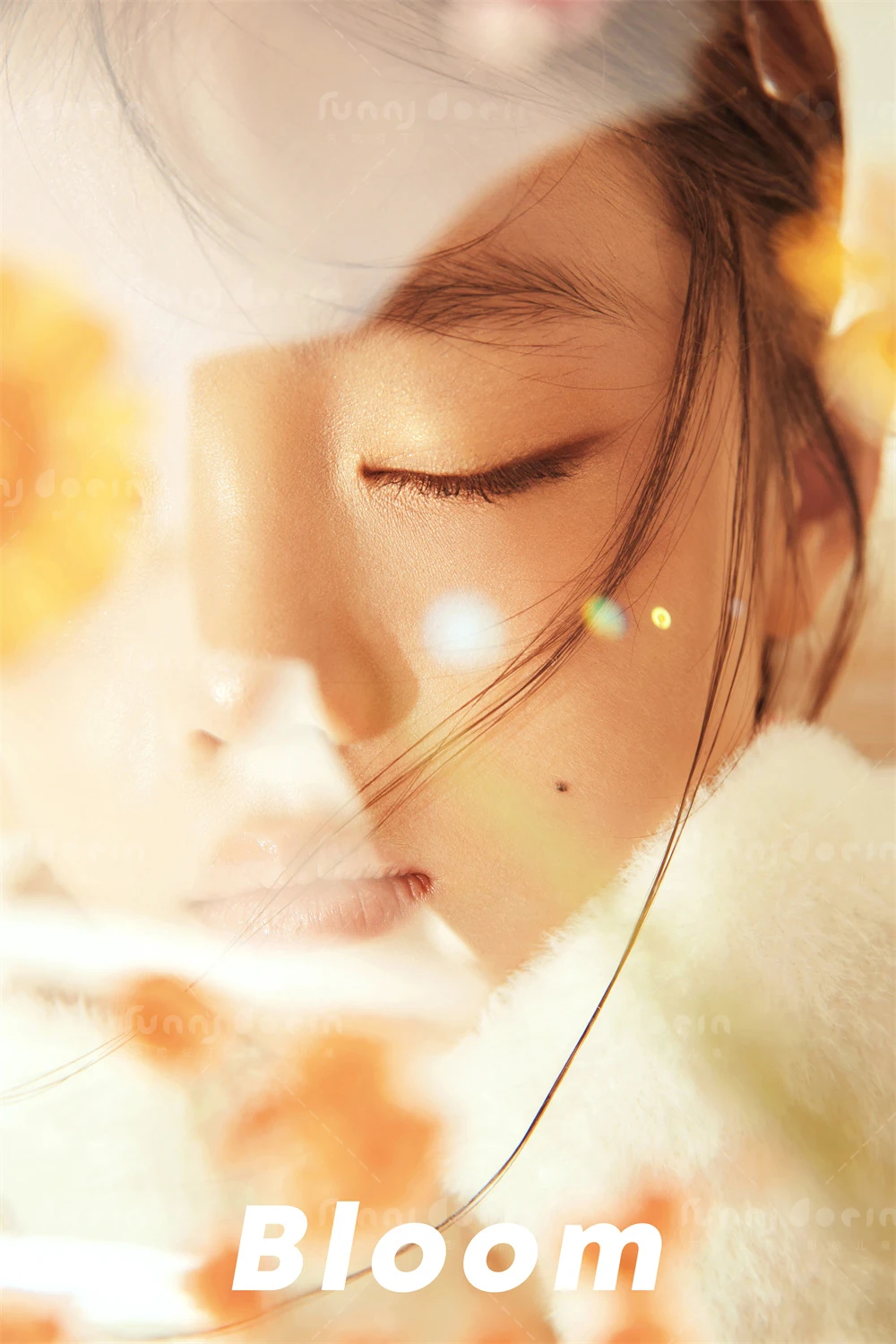 全家福 芳妮豆丁