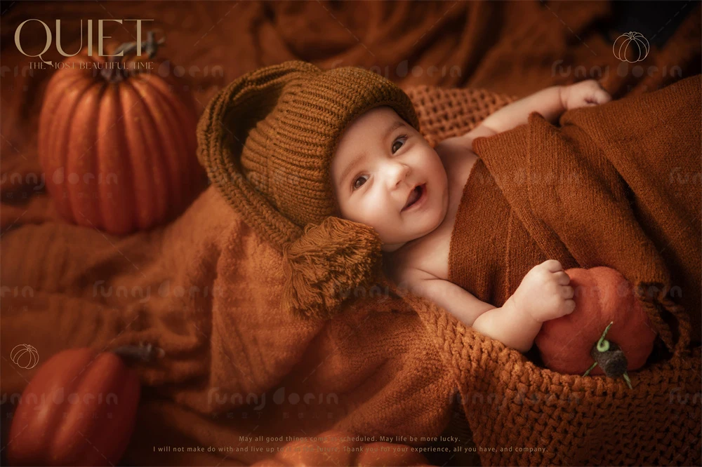 全家福 芳妮豆丁