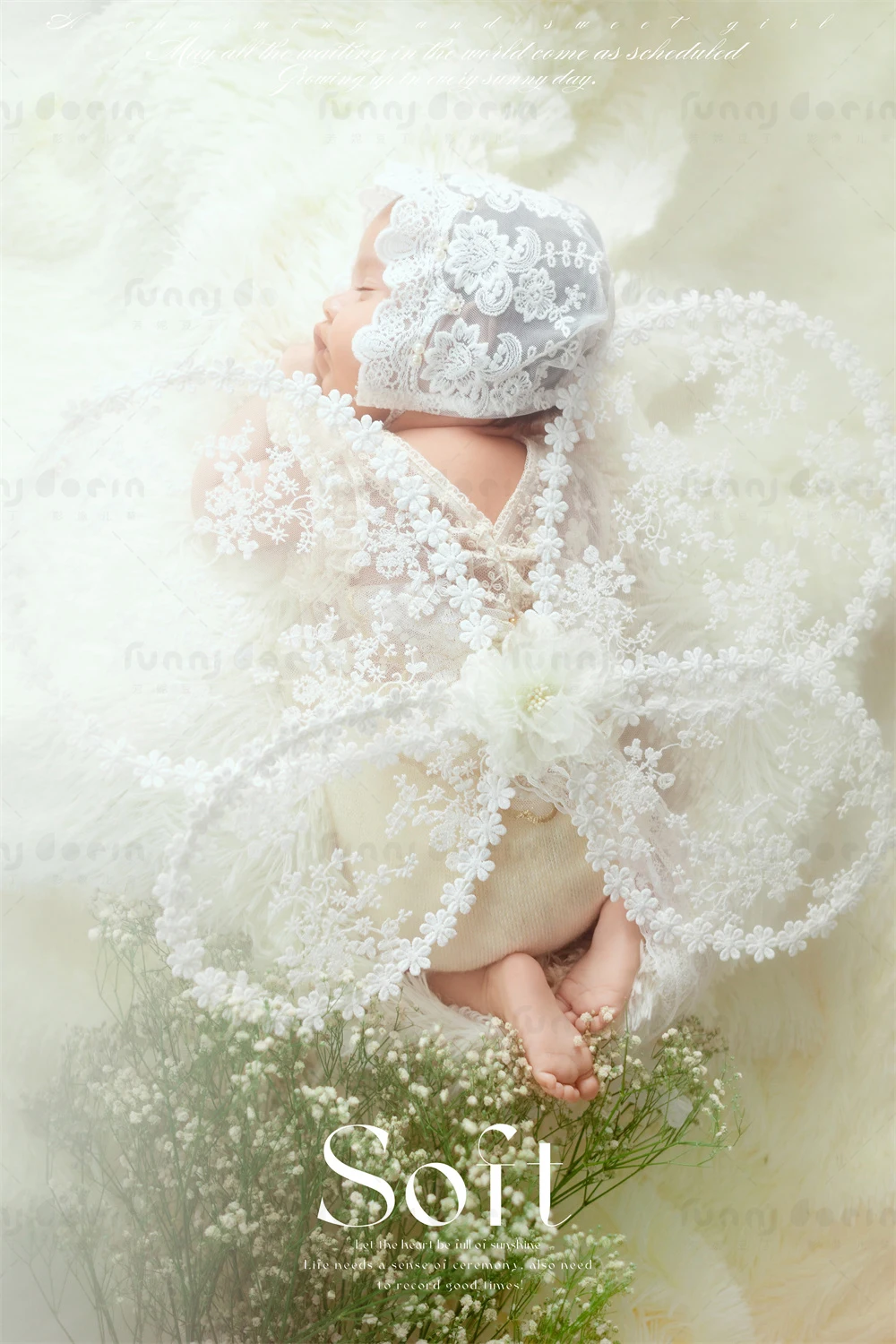 全家福 芳妮豆丁