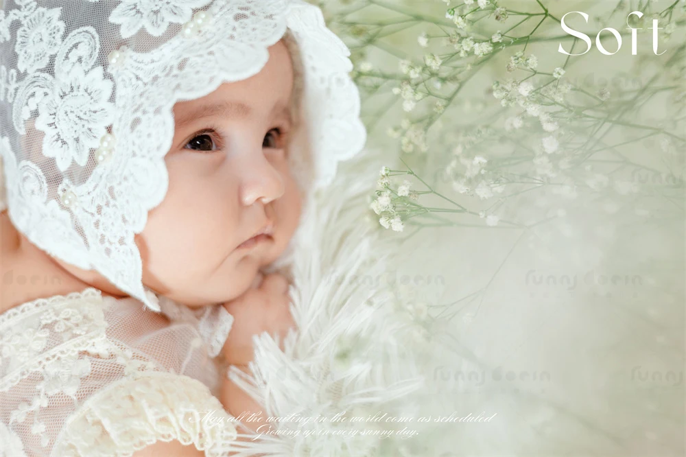 全家福 芳妮豆丁