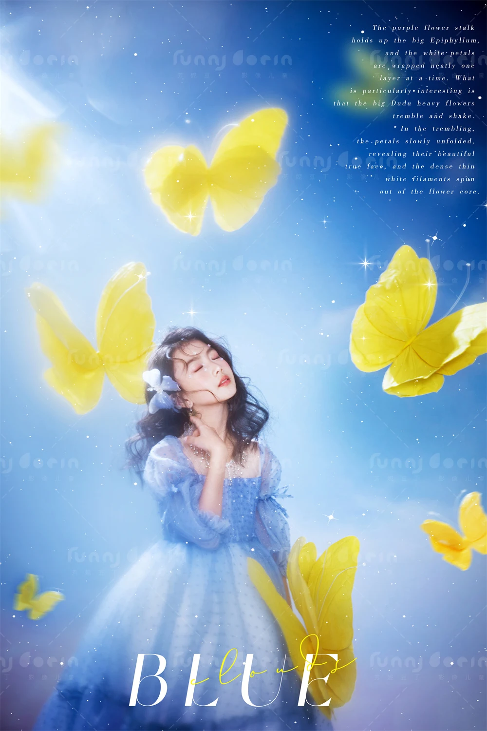 全家福 芳妮豆丁