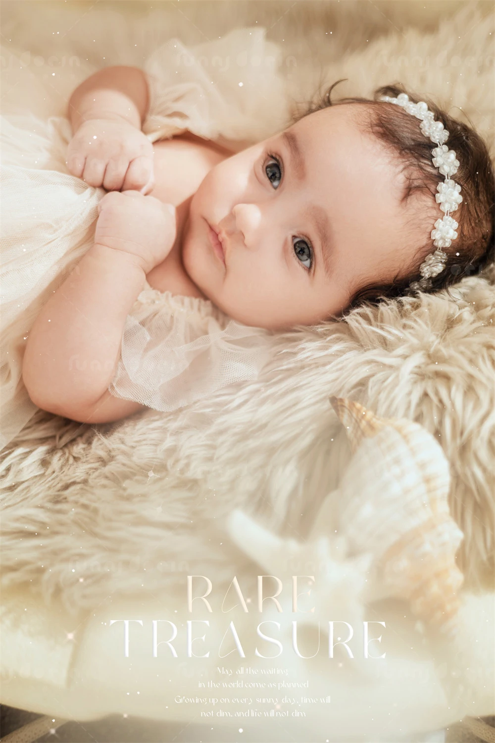 全家福 芳妮豆丁