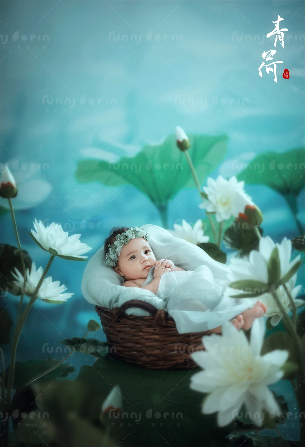 全家福 芳妮豆丁