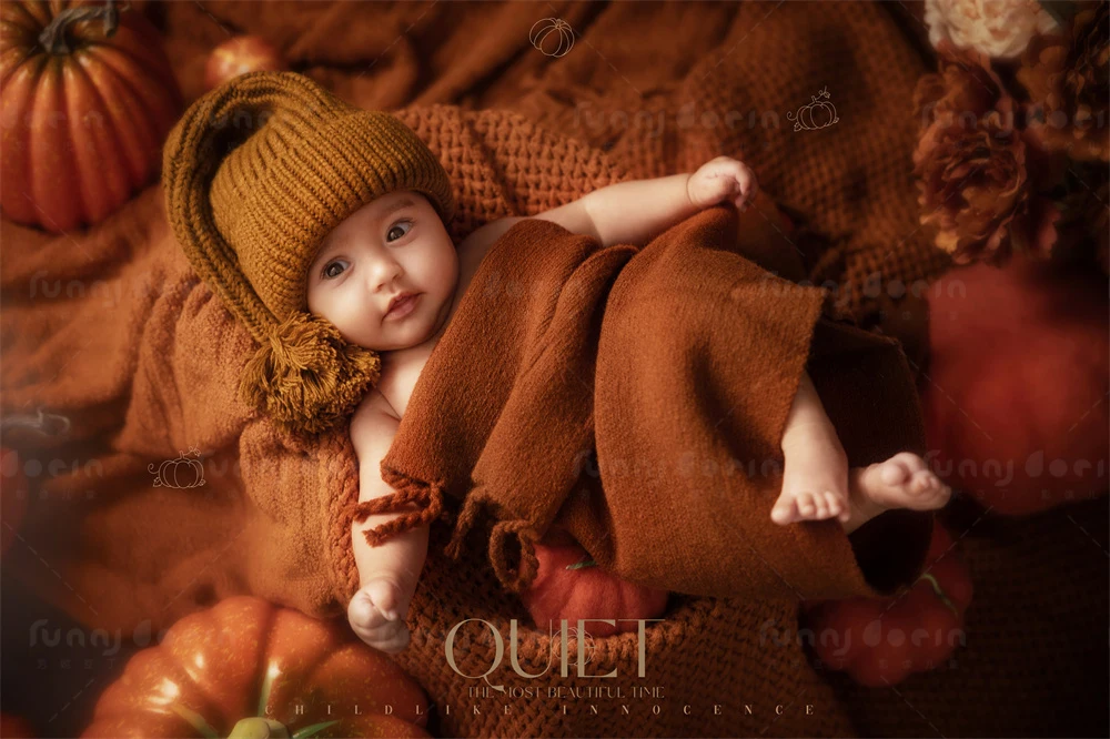 全家福 芳妮豆丁