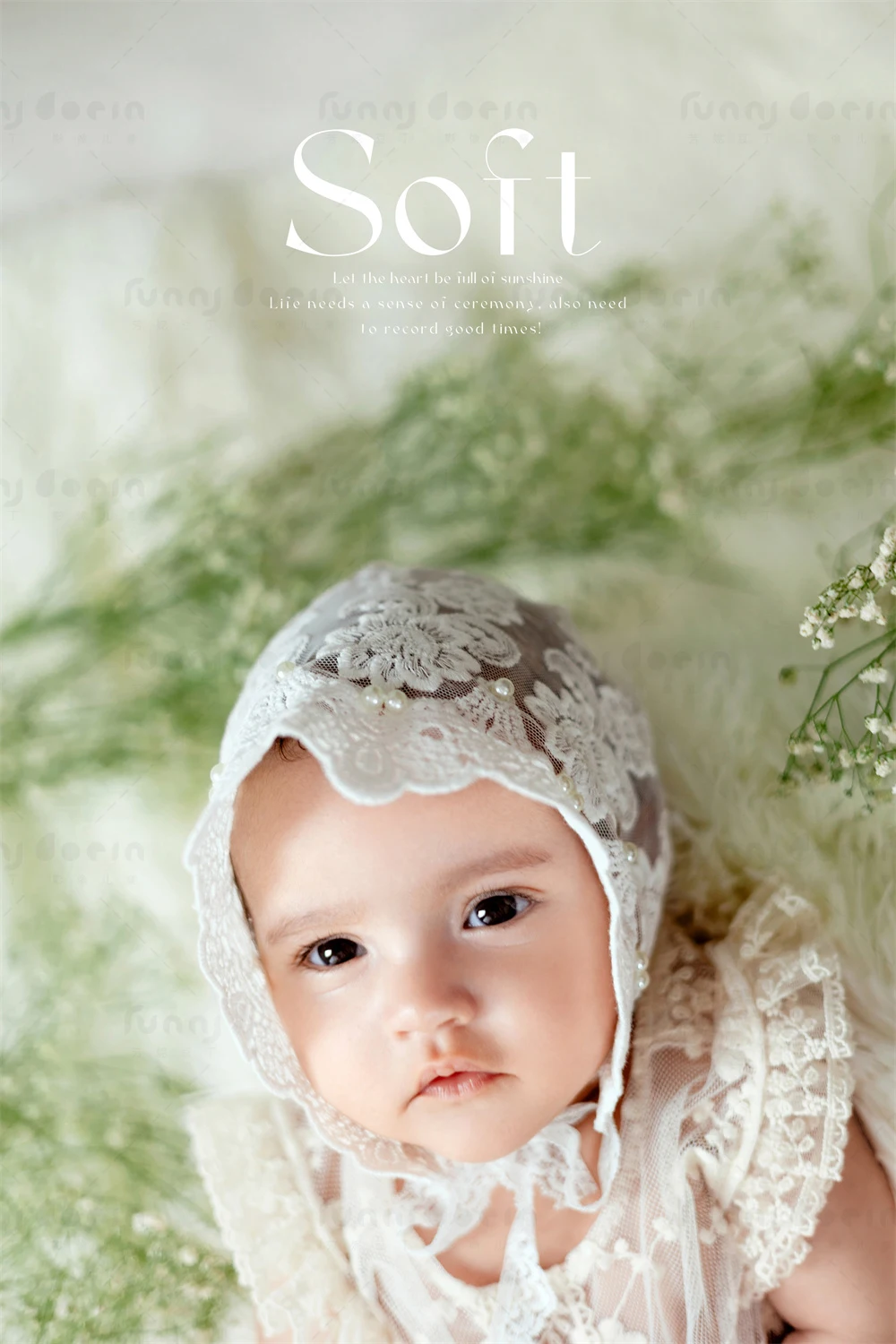 全家福 芳妮豆丁