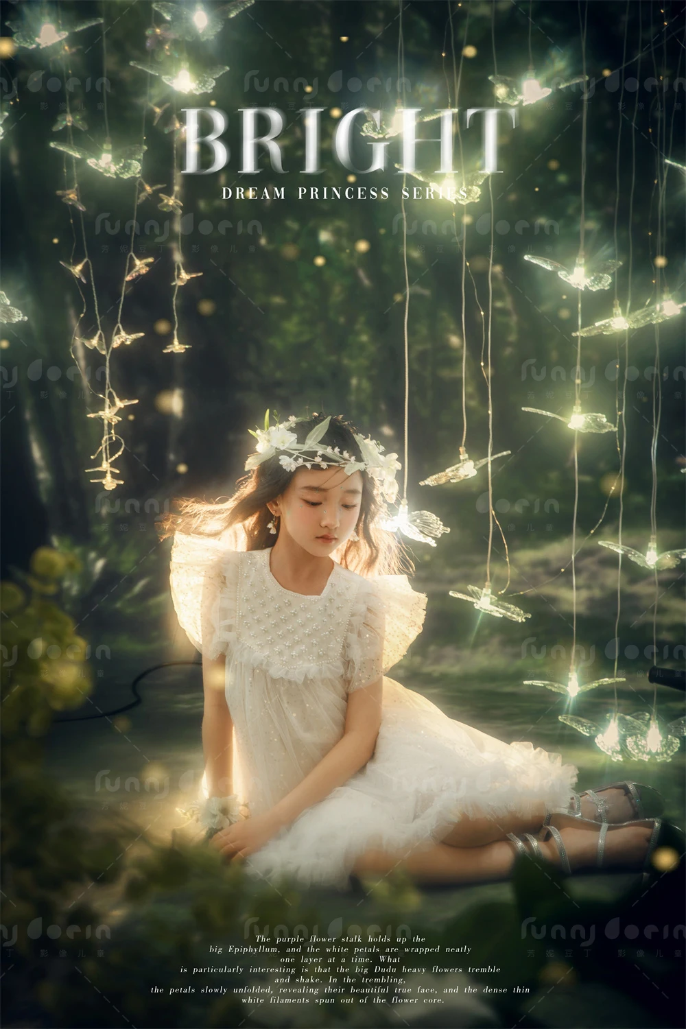 全家福 芳妮豆丁