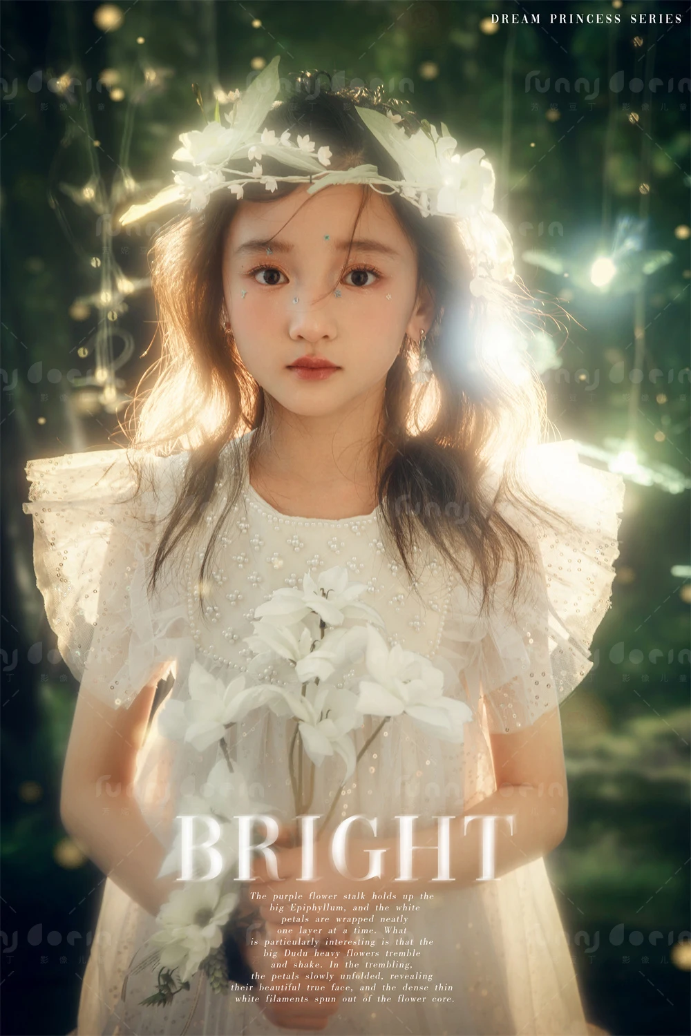 全家福 芳妮豆丁