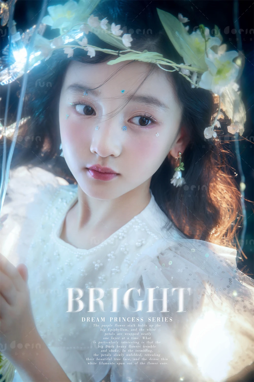 全家福 芳妮豆丁