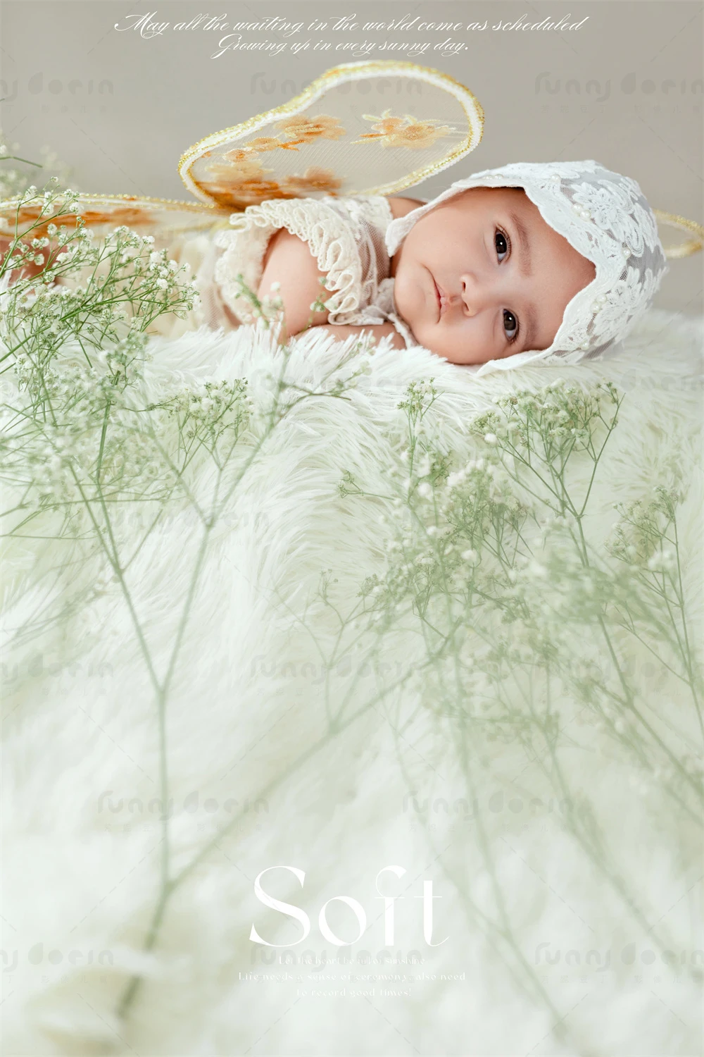 全家福 芳妮豆丁