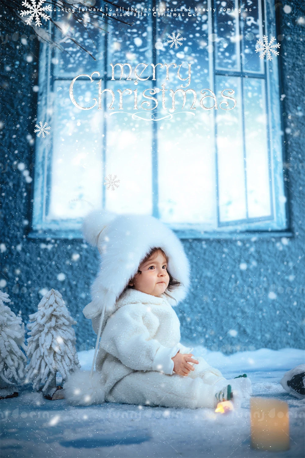 全家福 芳妮豆丁