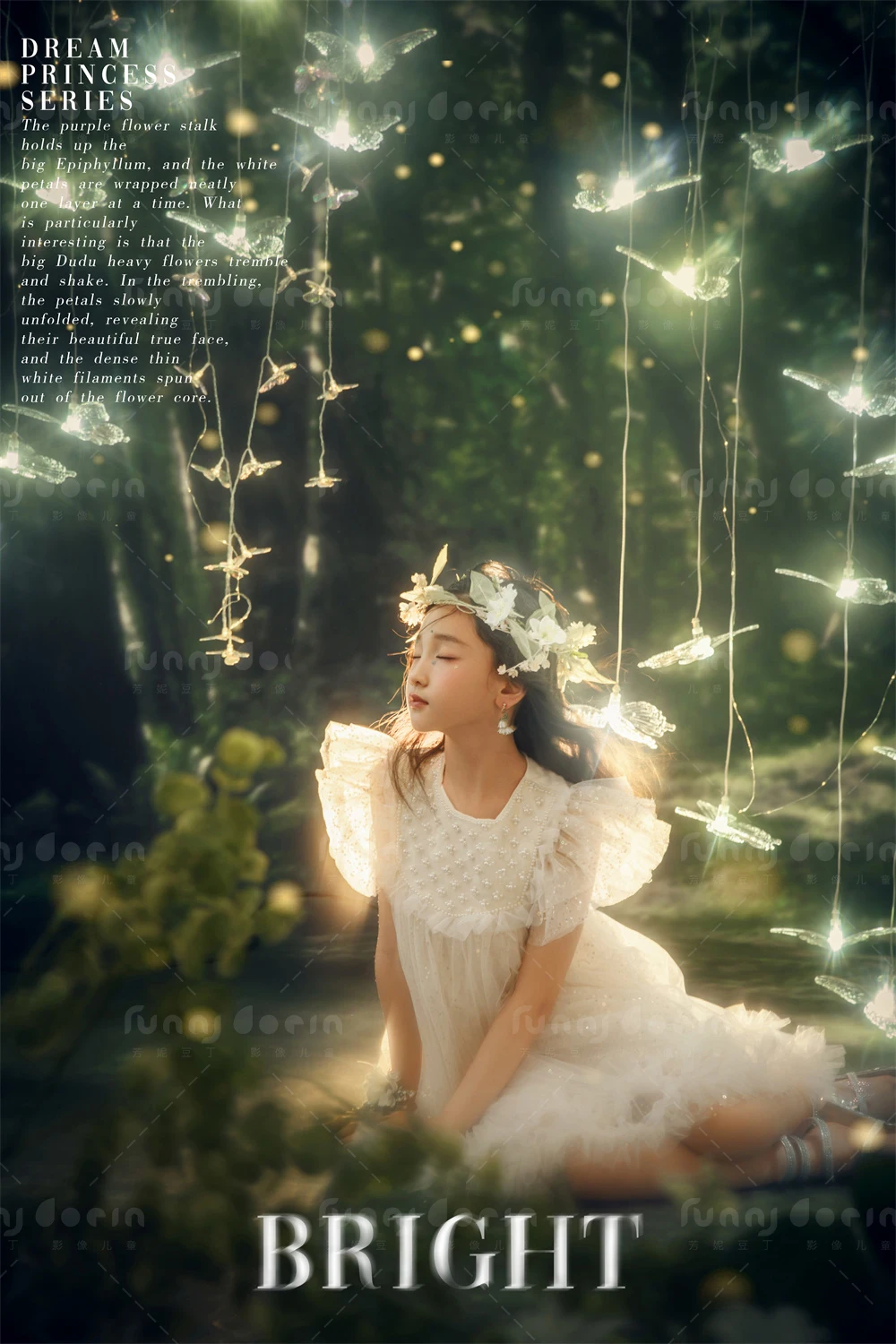 全家福 芳妮豆丁