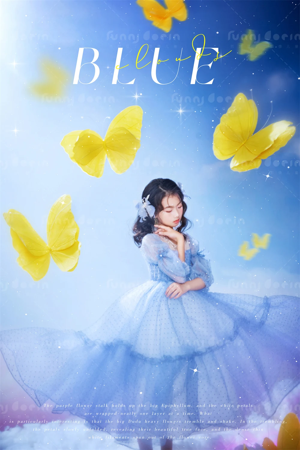 全家福 芳妮豆丁