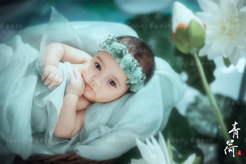 全家福 芳妮豆丁