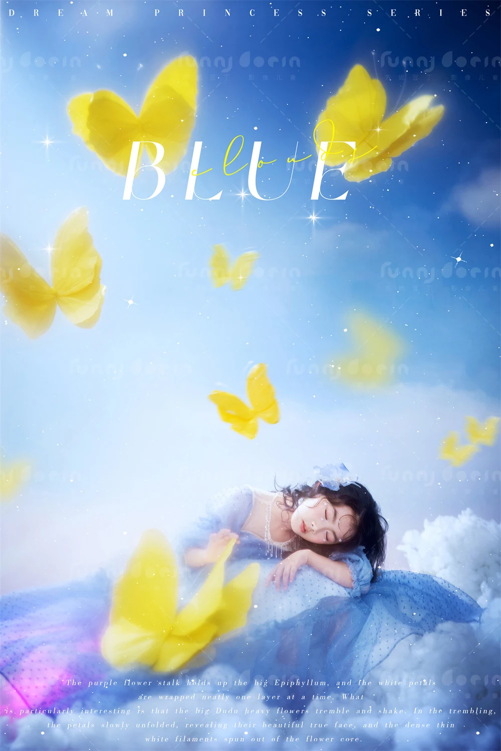 全家福 芳妮豆丁