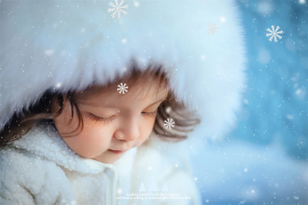 全家福 芳妮豆丁