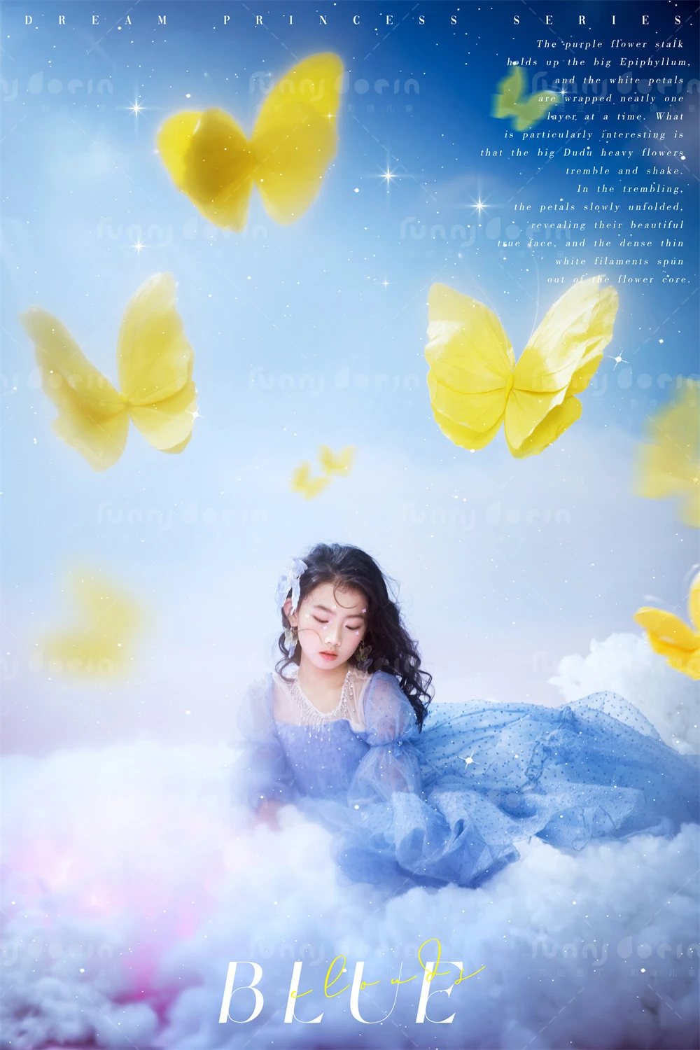 全家福 芳妮豆丁