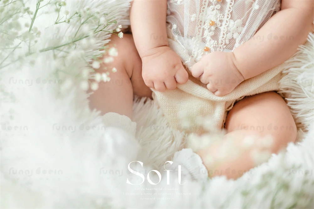 全家福 芳妮豆丁