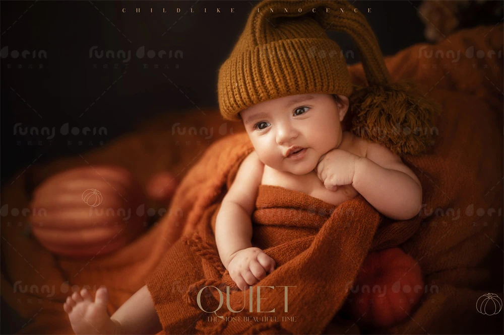 全家福 芳妮豆丁