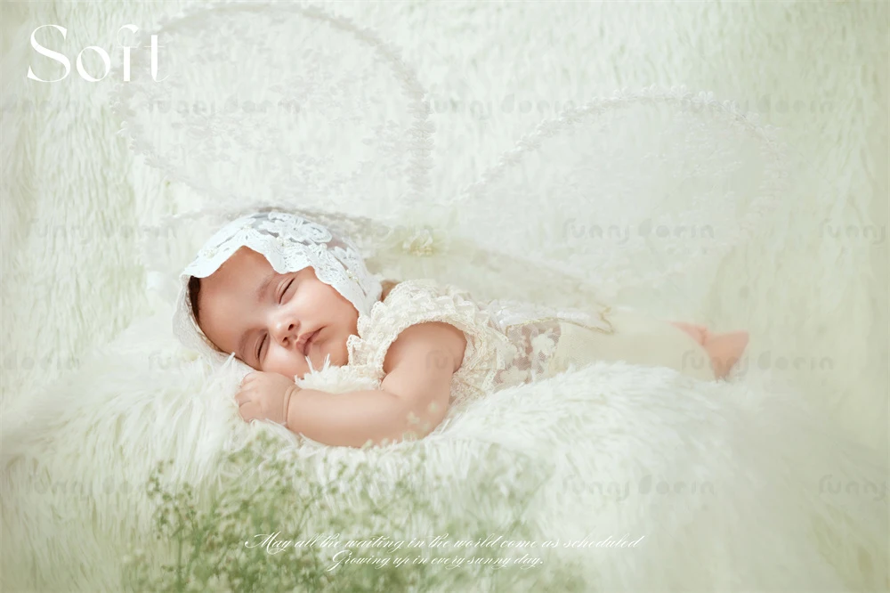 全家福 芳妮豆丁