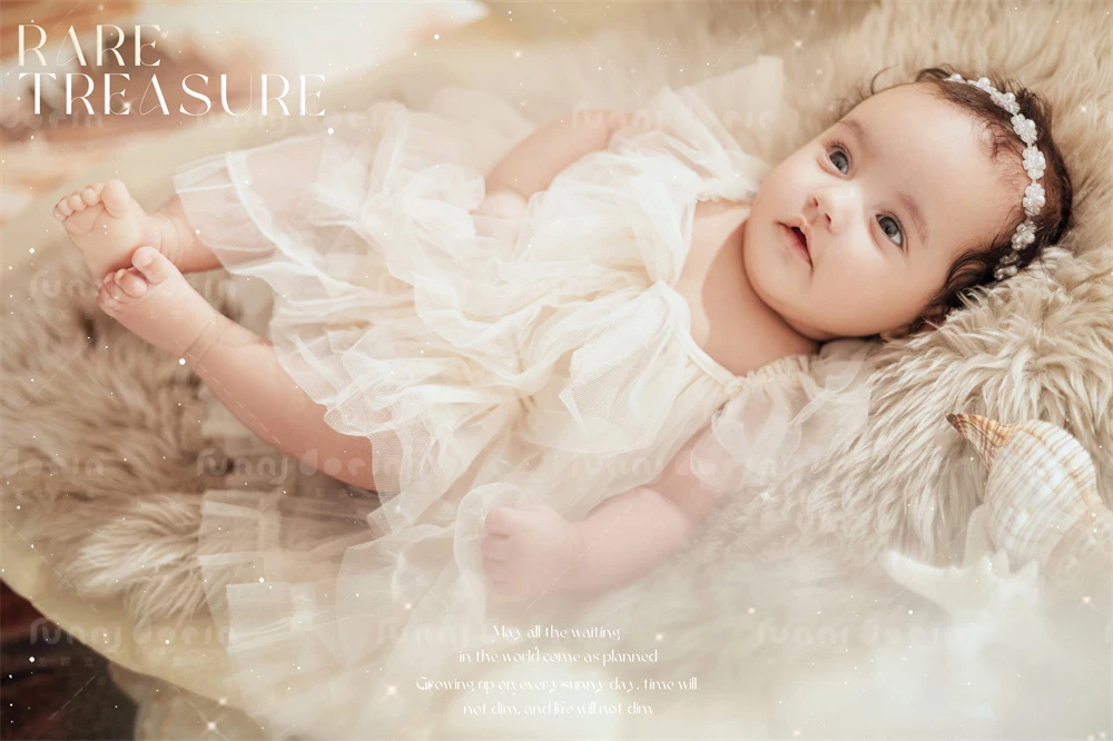 全家福 芳妮豆丁