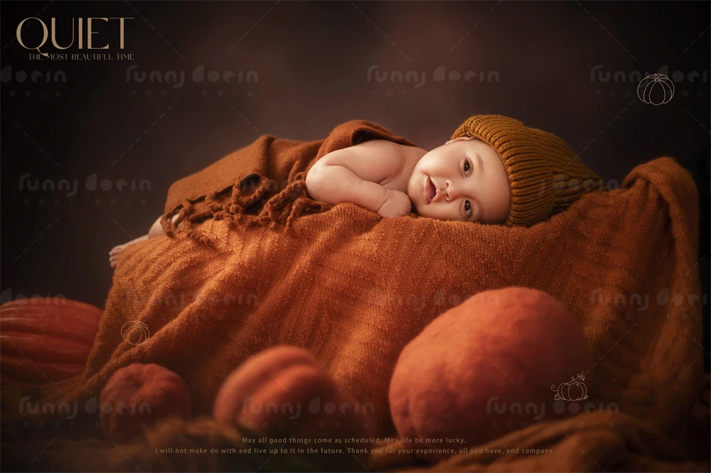 全家福 芳妮豆丁