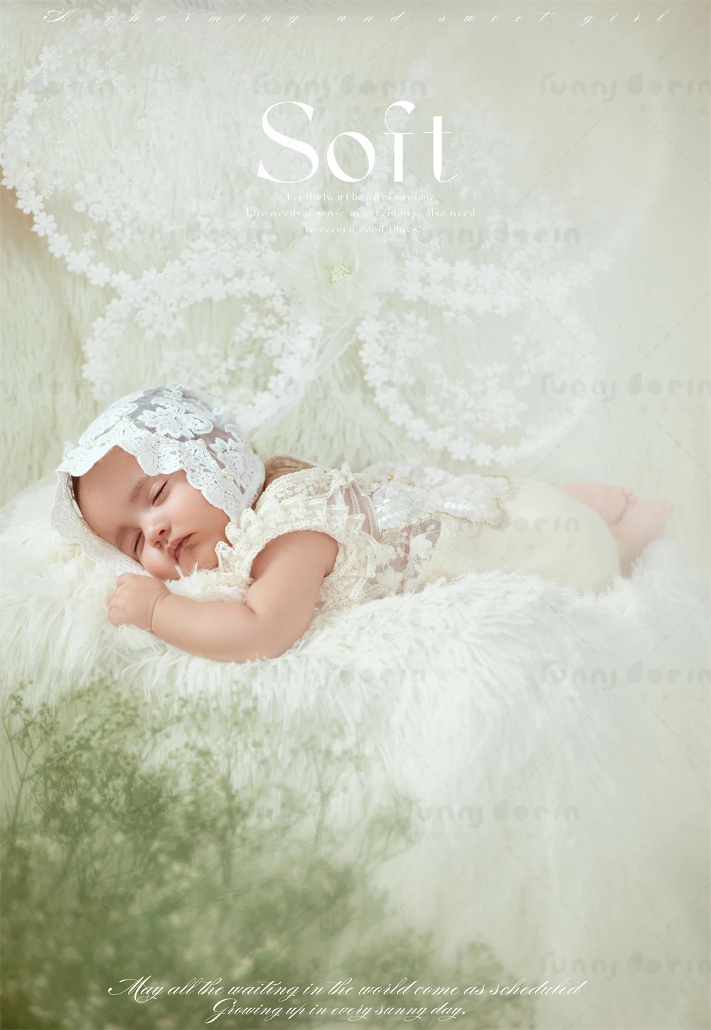 全家福 芳妮豆丁