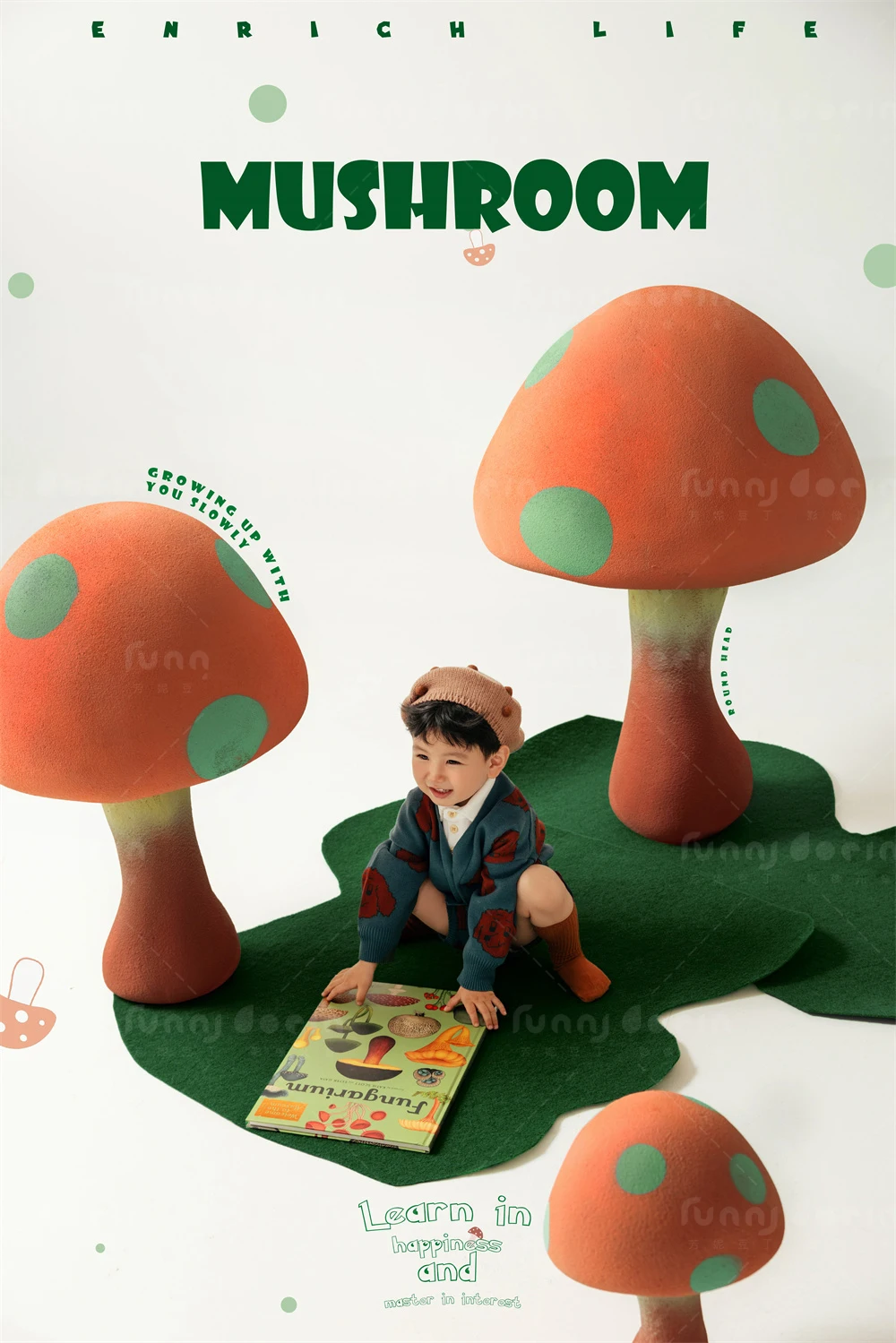 全家福 芳妮豆丁