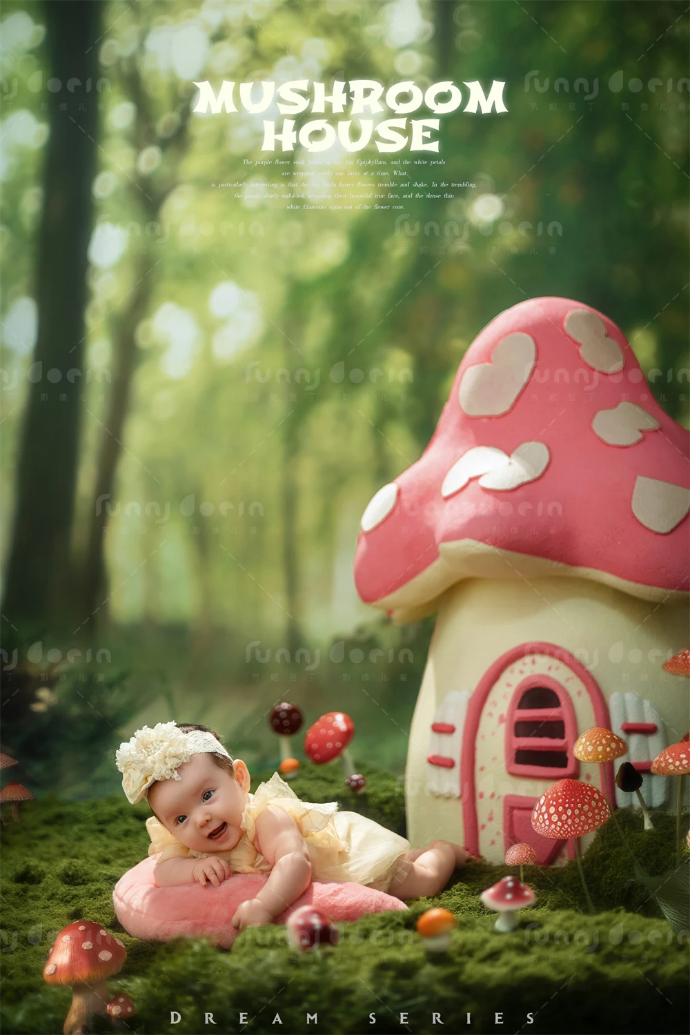 全家福 芳妮豆丁