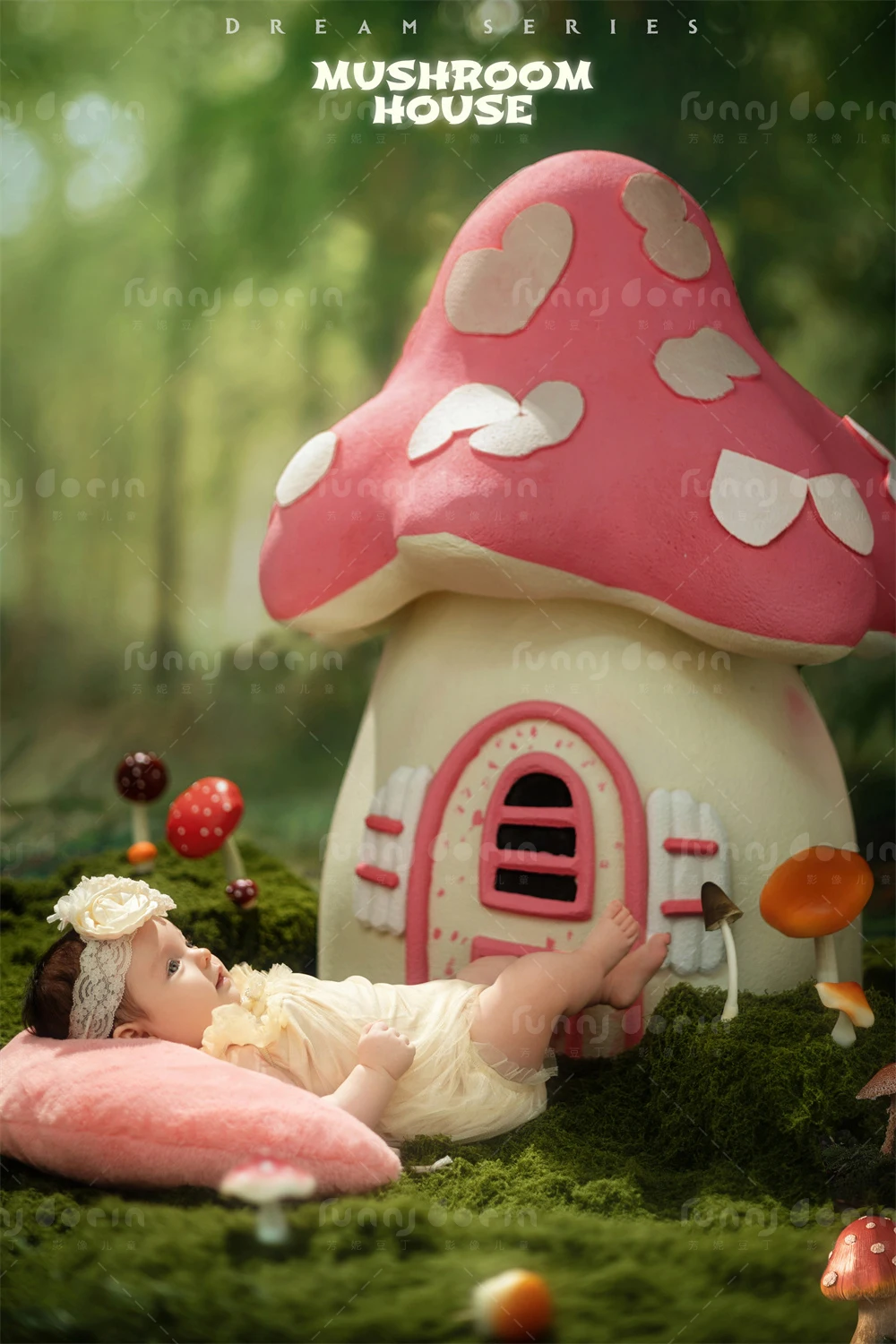 全家福 芳妮豆丁