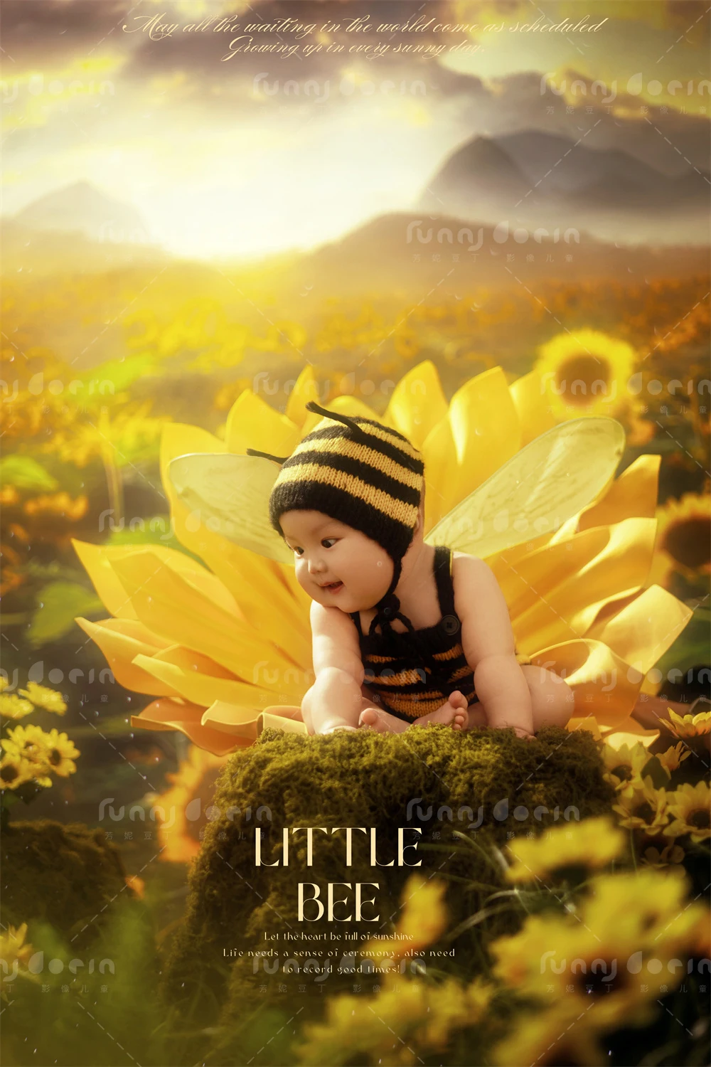 全家福 芳妮豆丁