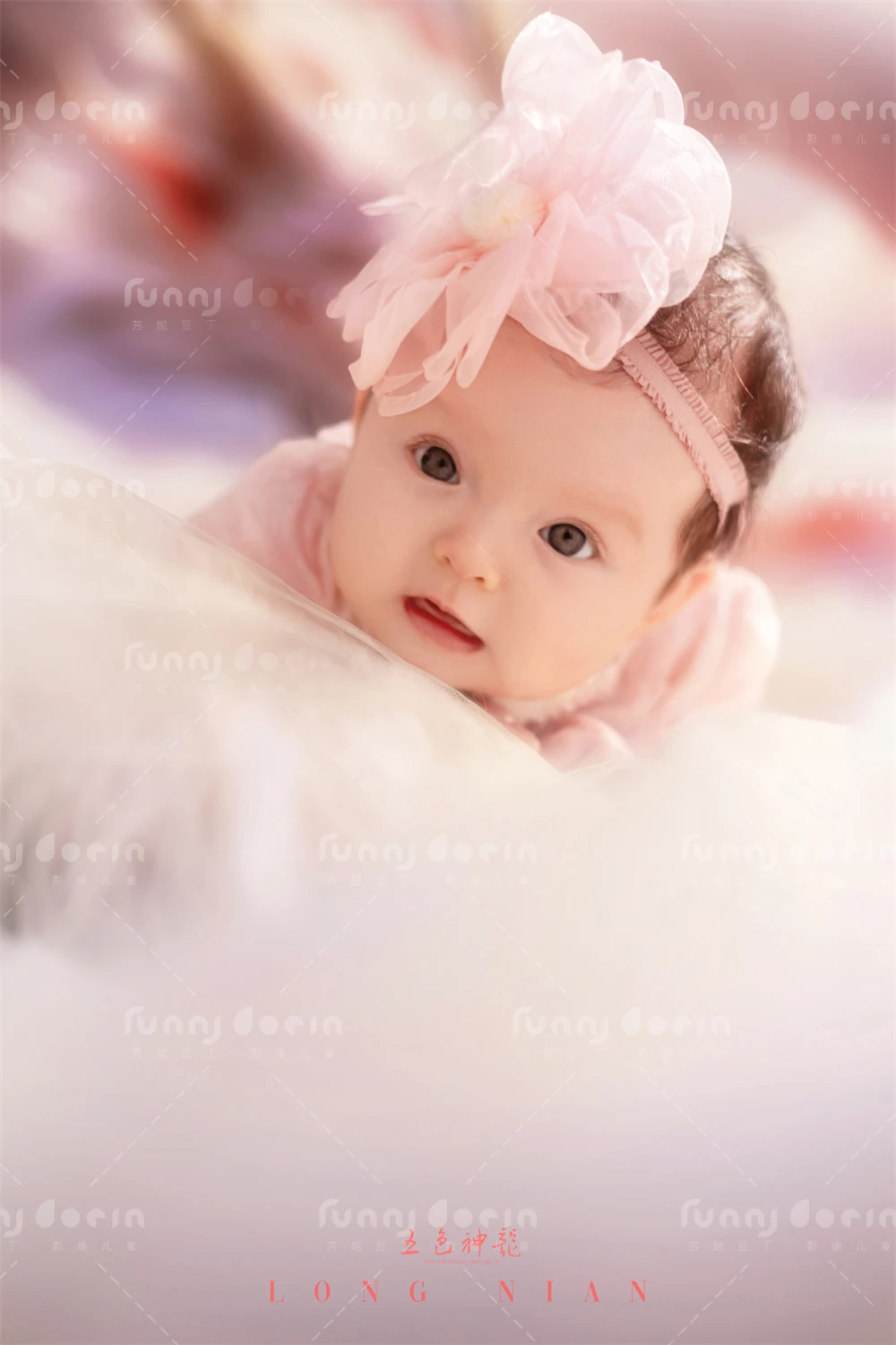 全家福 芳妮豆丁