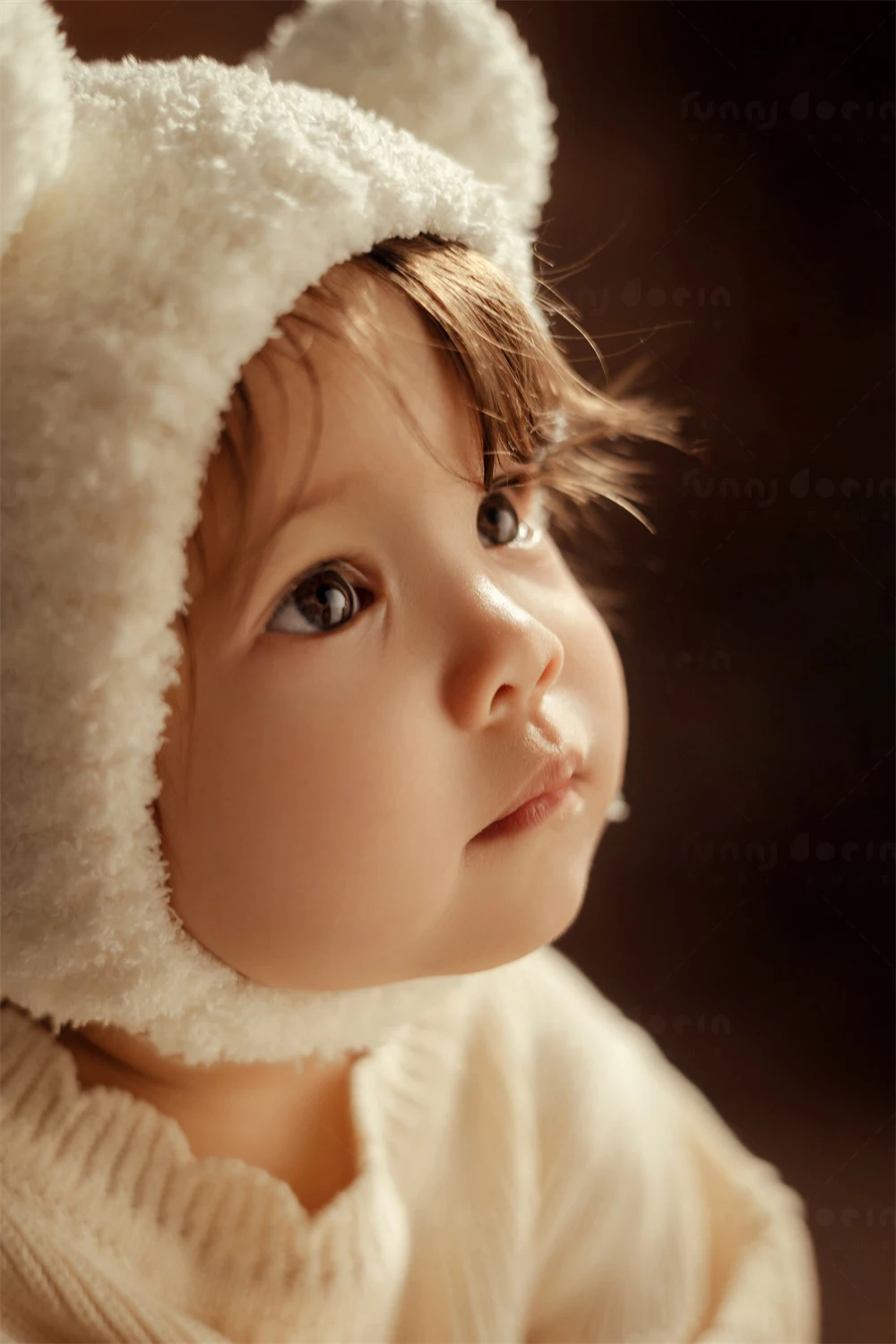 全家福 芳妮豆丁