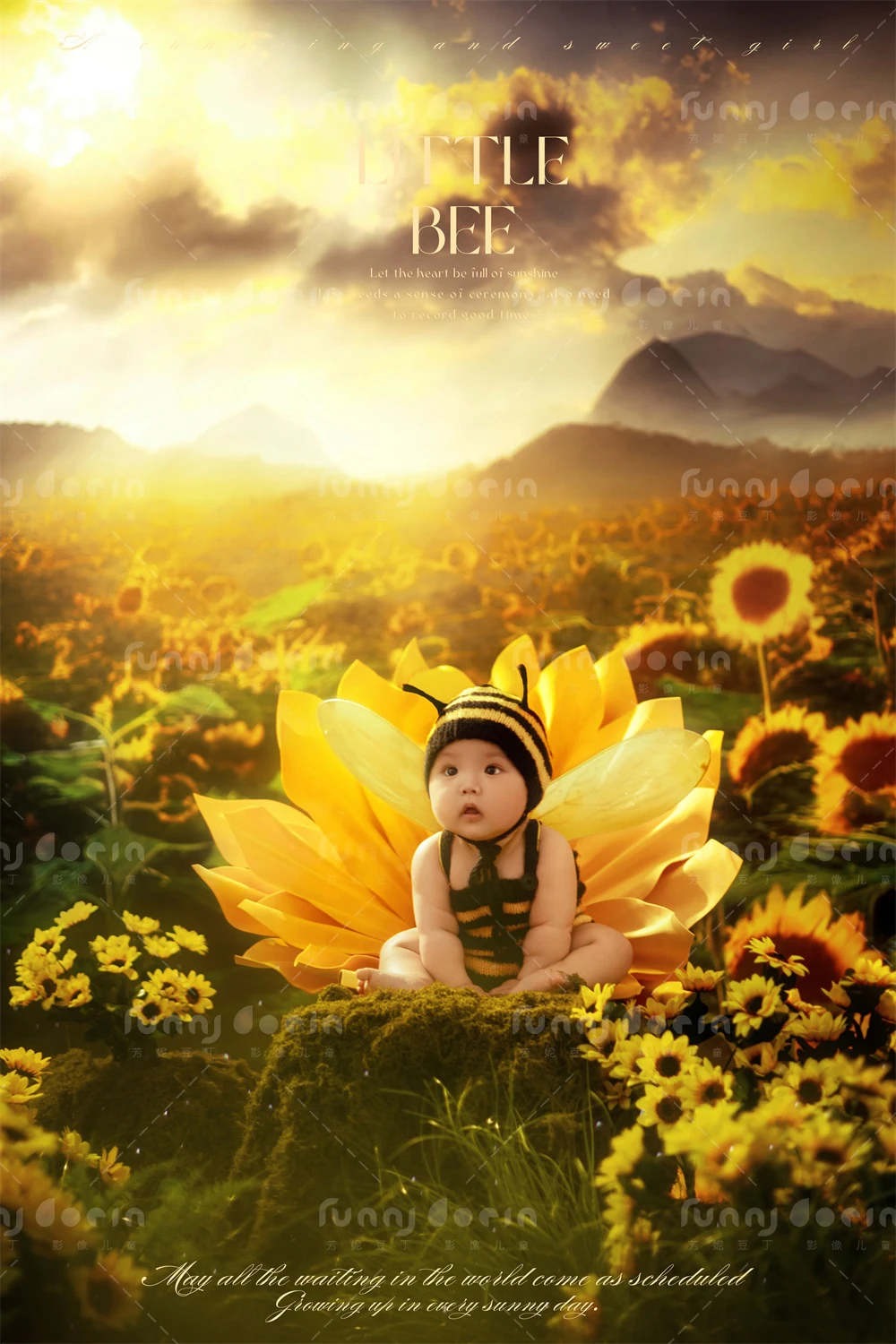 全家福 芳妮豆丁