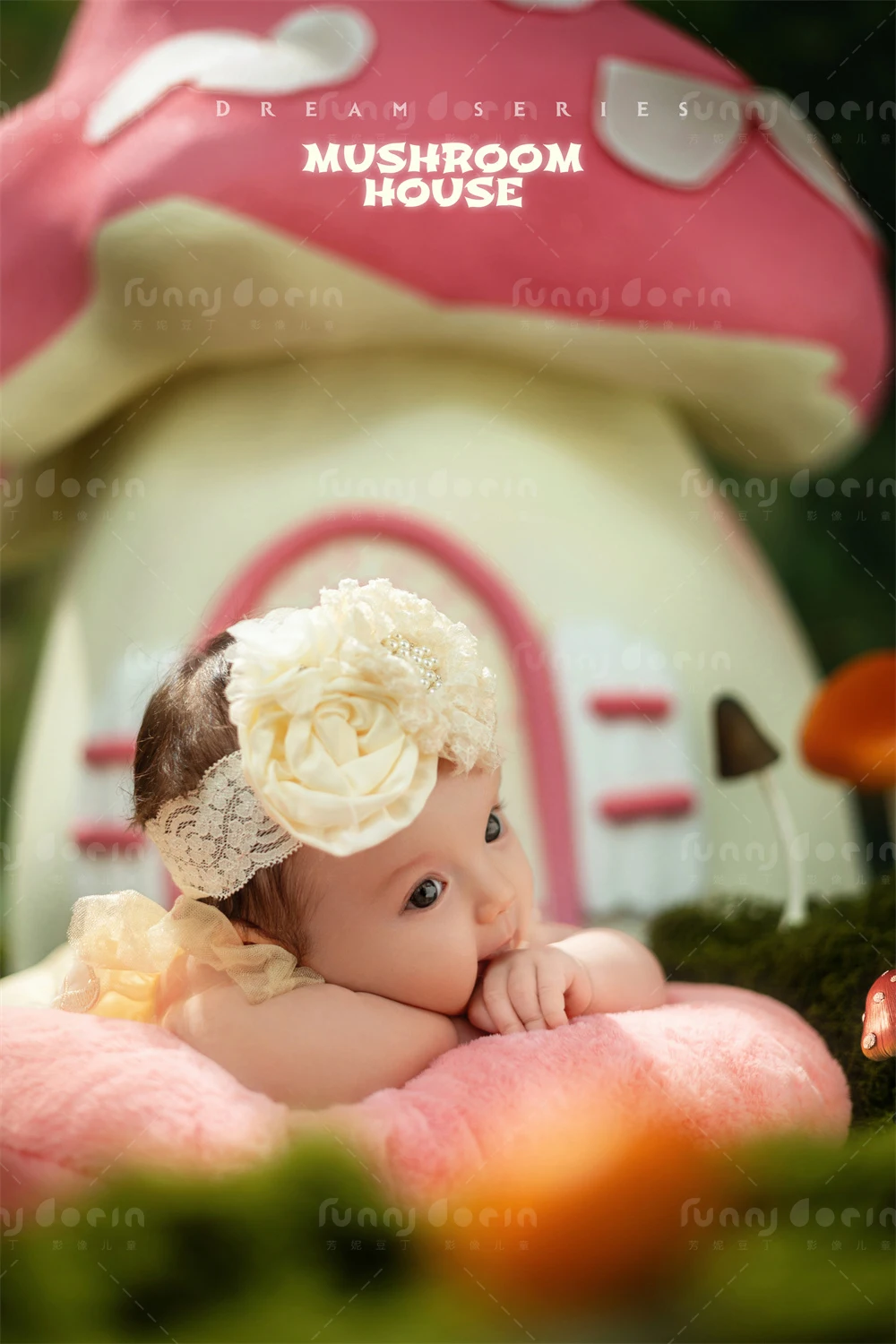 全家福 芳妮豆丁