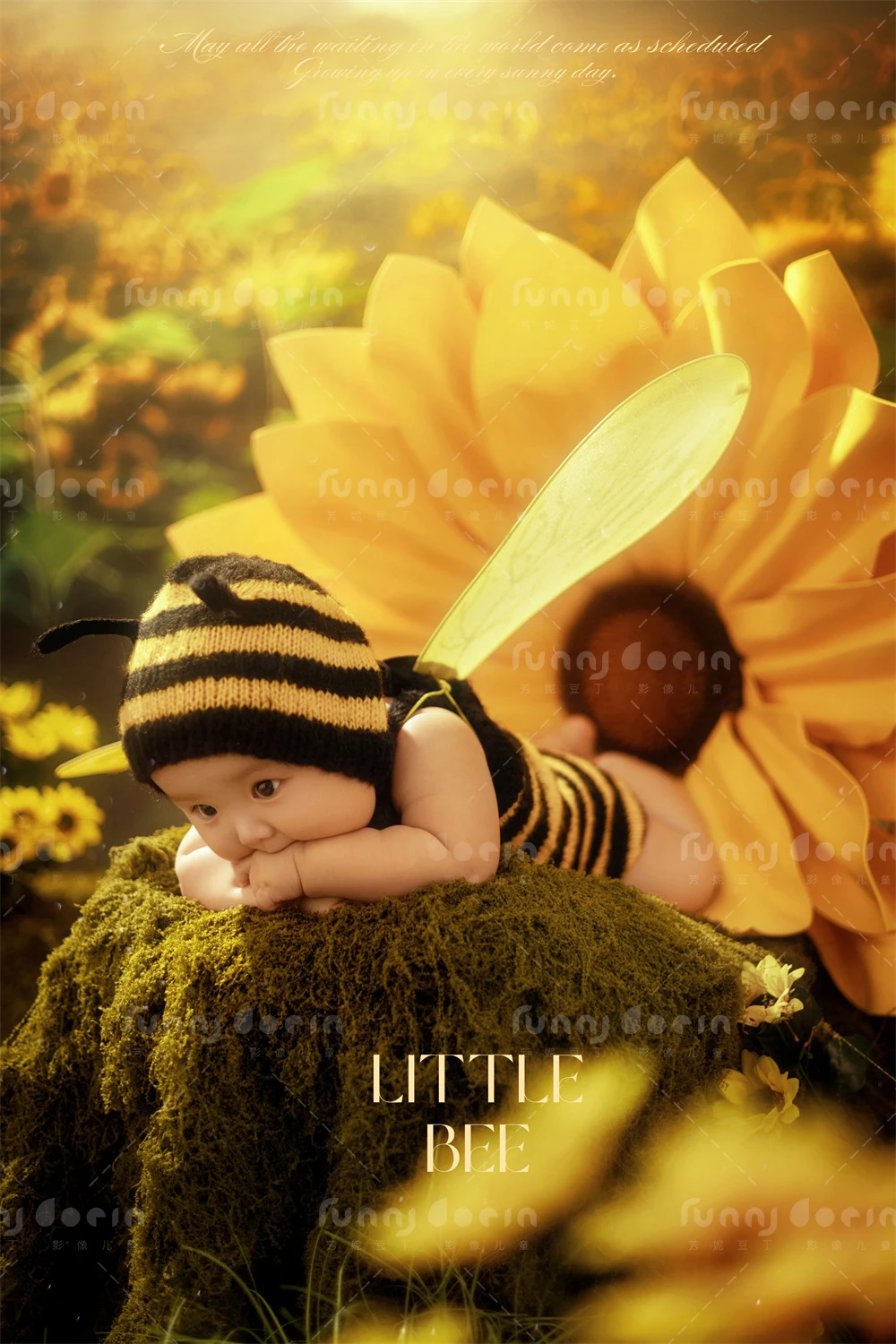 全家福 芳妮豆丁