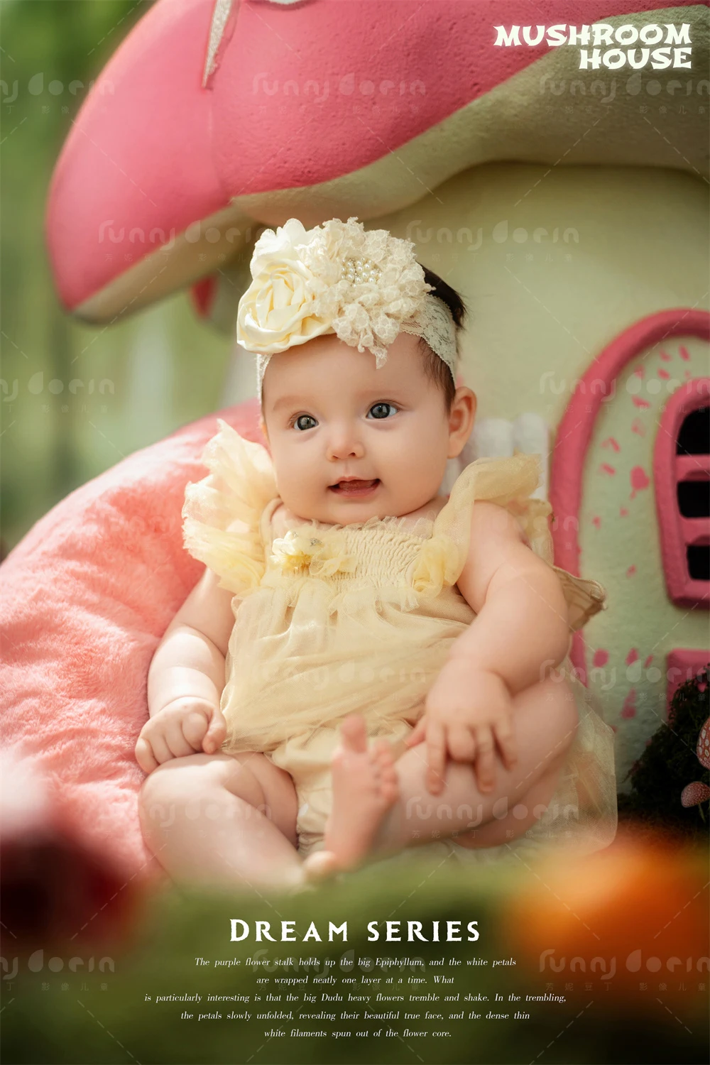 全家福 芳妮豆丁