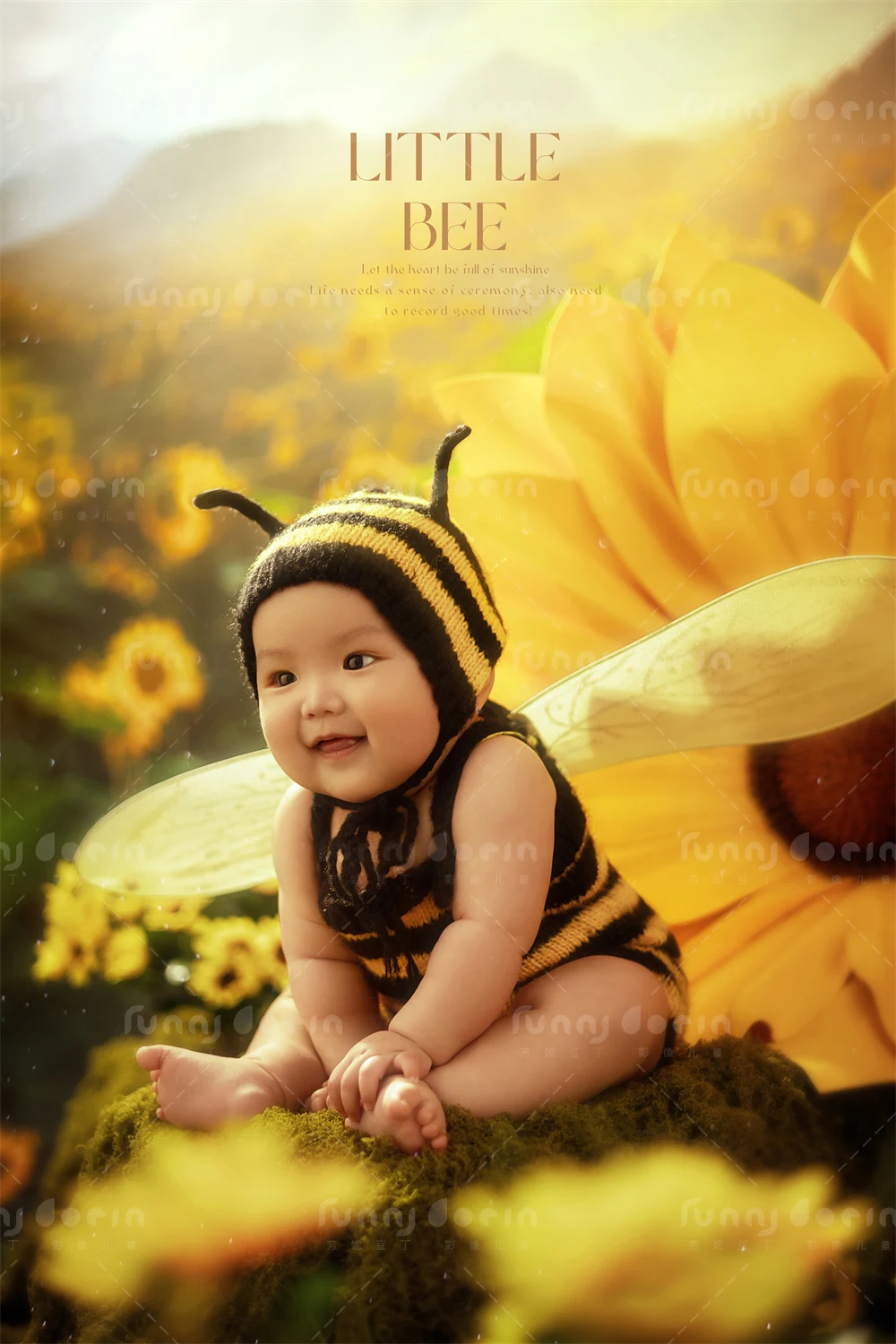 全家福 芳妮豆丁