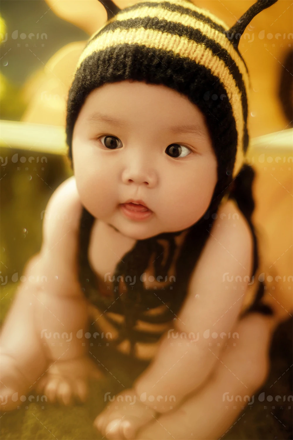 全家福 芳妮豆丁